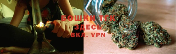 прущие грибы Балабаново