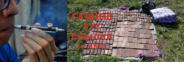 прущие грибы Балабаново