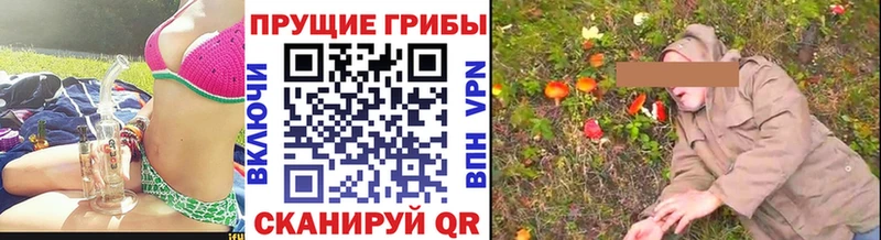 darknet как зайти  купить наркотики цена  Опочка  Галлюциногенные грибы мухоморы 
